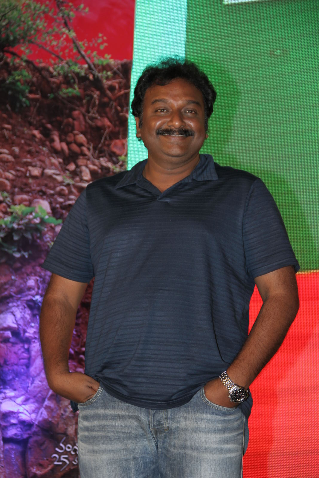 Tanu Monne Vellipoyindi Audio Launch 2