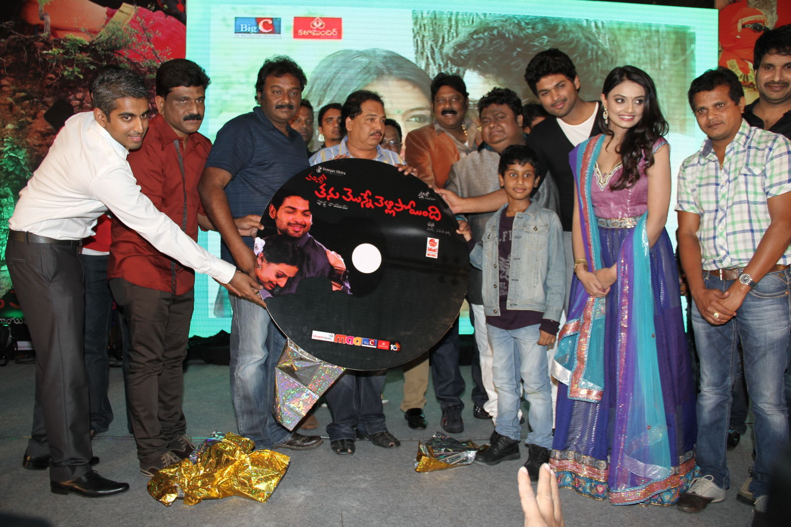 Tanu Monne Vellipoyindi Audio Launch 2