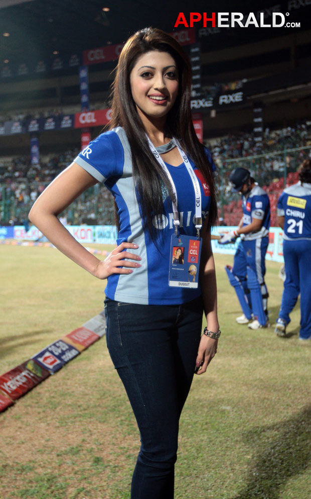 Telugu Warriors Vs Karnataka Bulldozers Final Match Photos