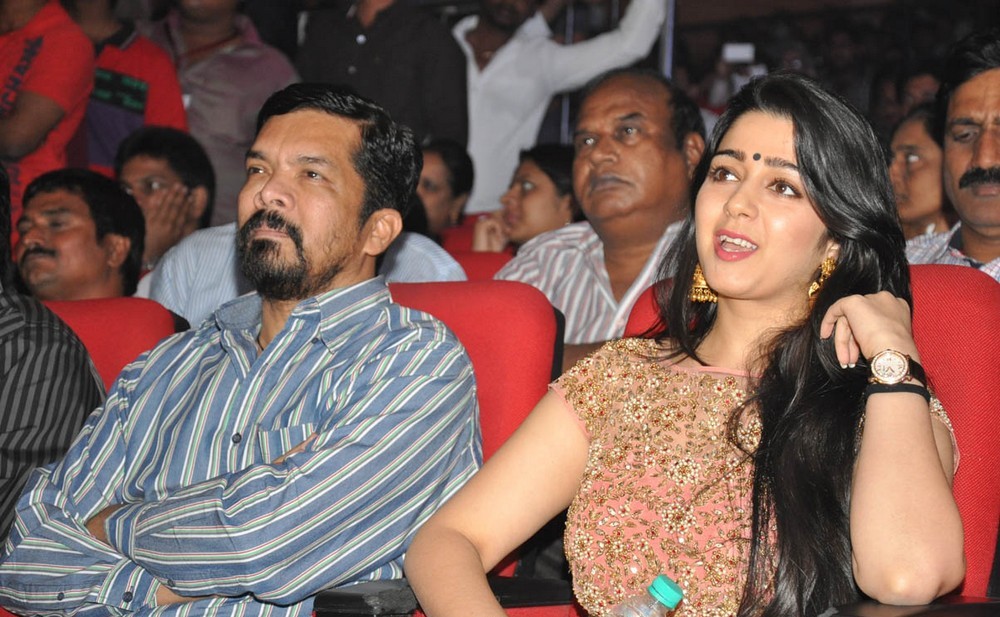 Temper Movie Audio Launch Photos