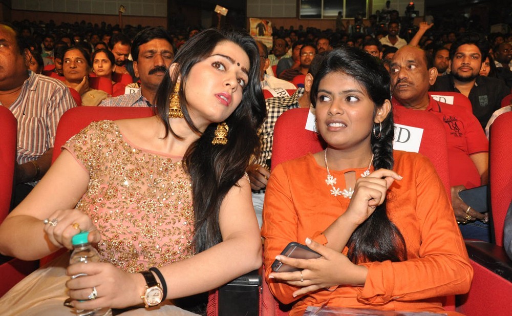 Temper Movie Audio Launch Photos