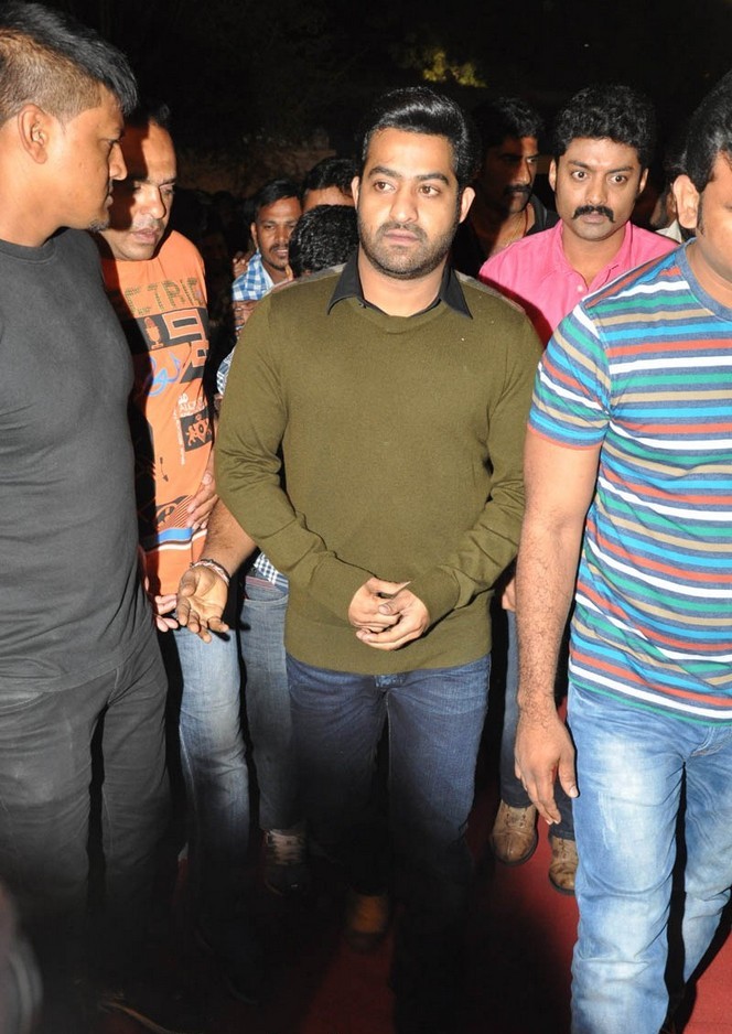 Temper Movie Audio Launch Photos