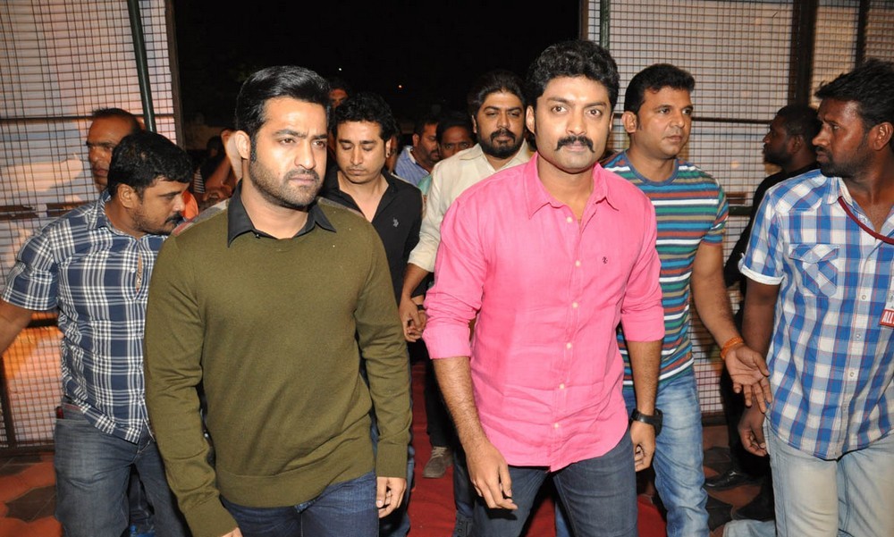 Temper Movie Audio Launch Photos