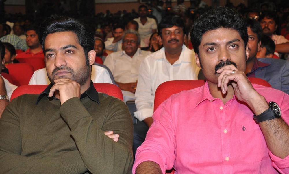 Temper Movie Audio Launch Photos