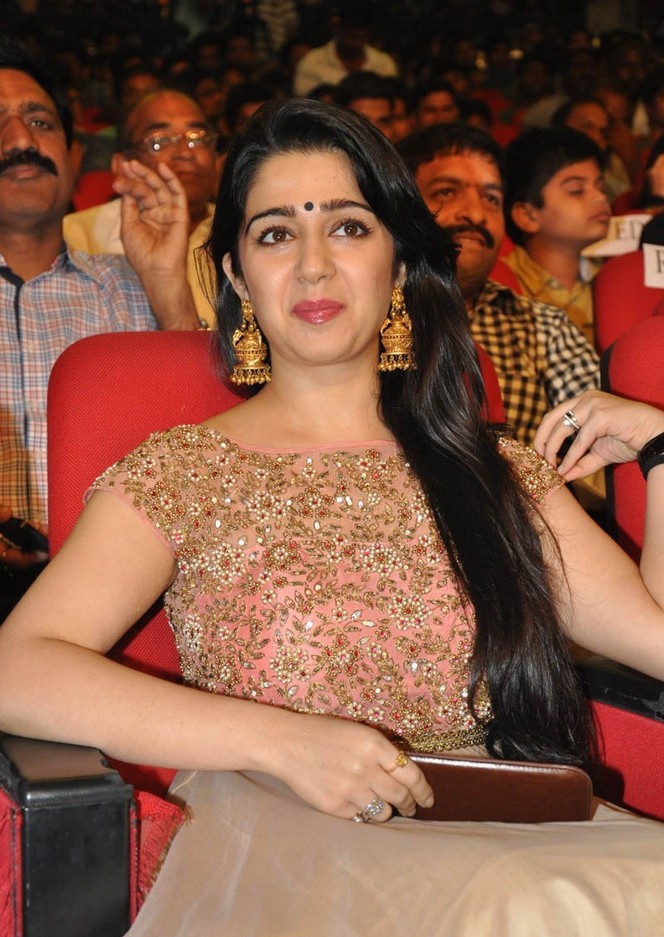 Temper Movie Audio Launch Photos