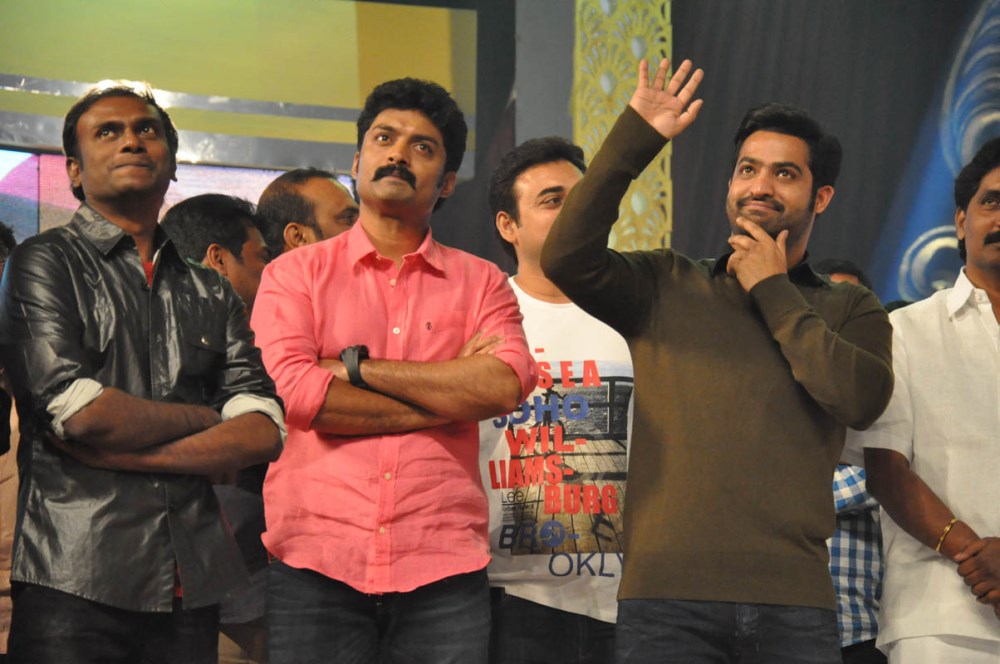 Temper Movie Audio Launch Photos3