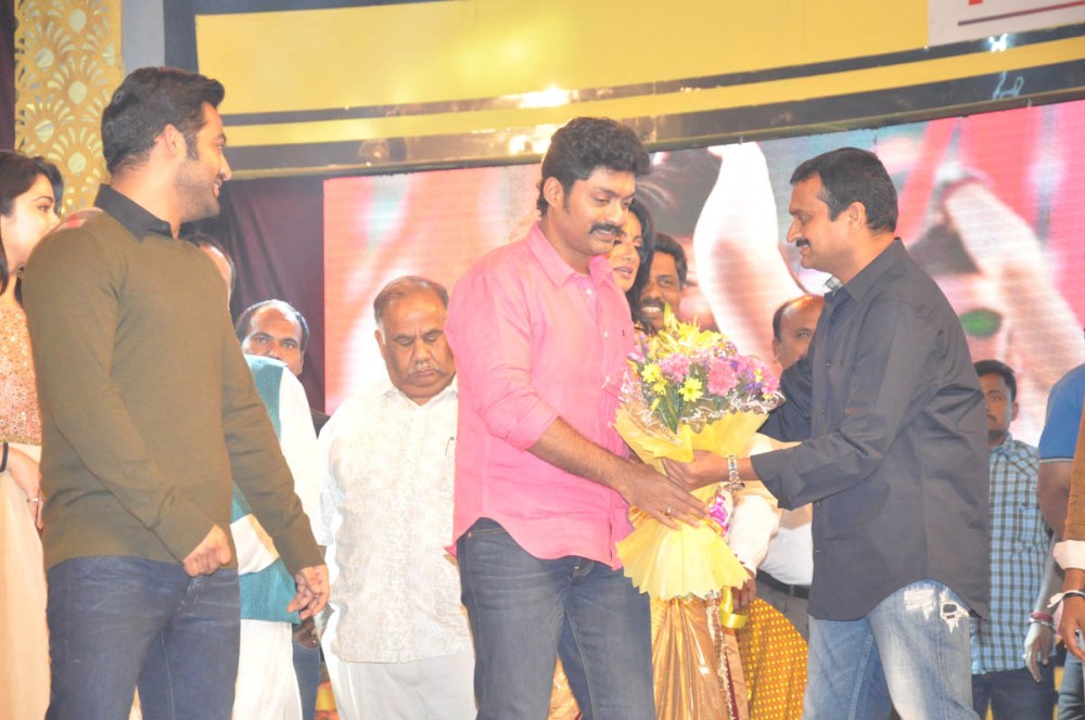 Temper Movie Audio Launch Photos3