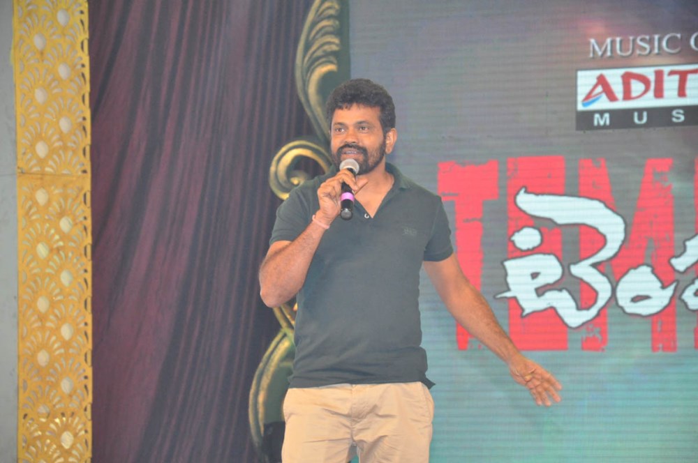 Temper Movie Audio Launch Photos3