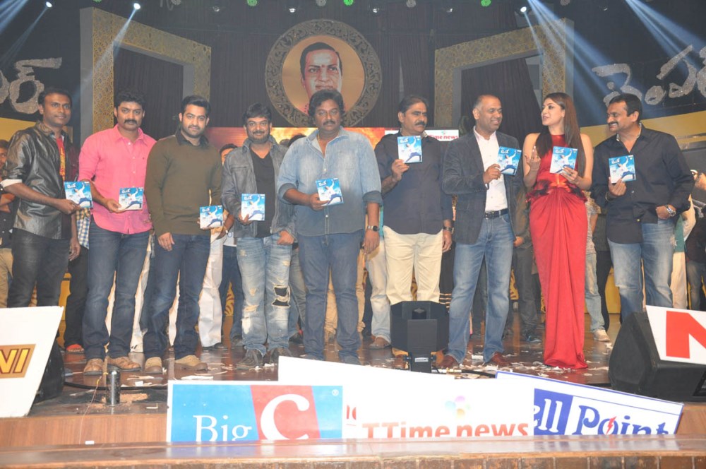 Temper Movie Audio Launch Photos3