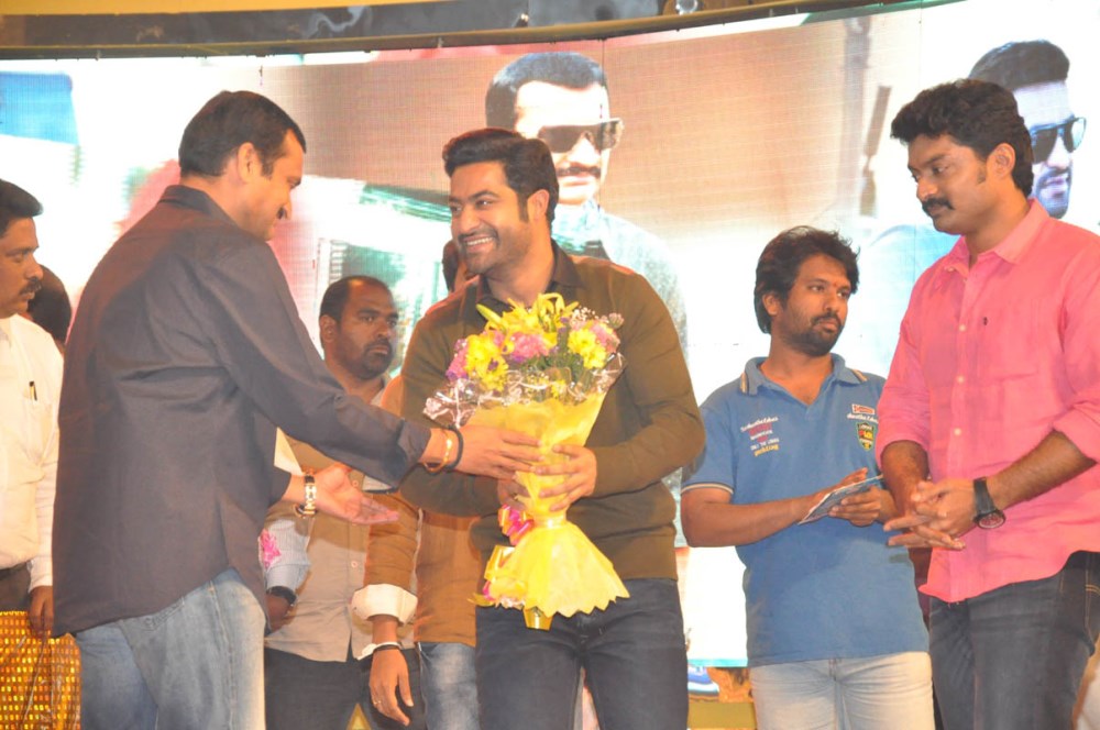 Temper Movie Audio Launch Photos3