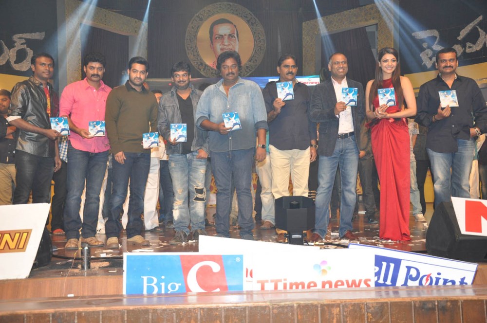 Temper Movie Audio Launch Photos3