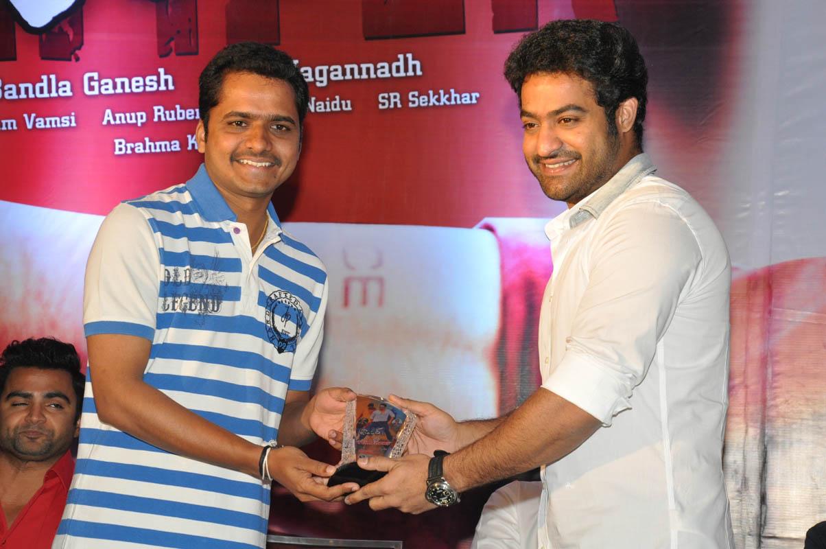 Temper Movie Success Meet