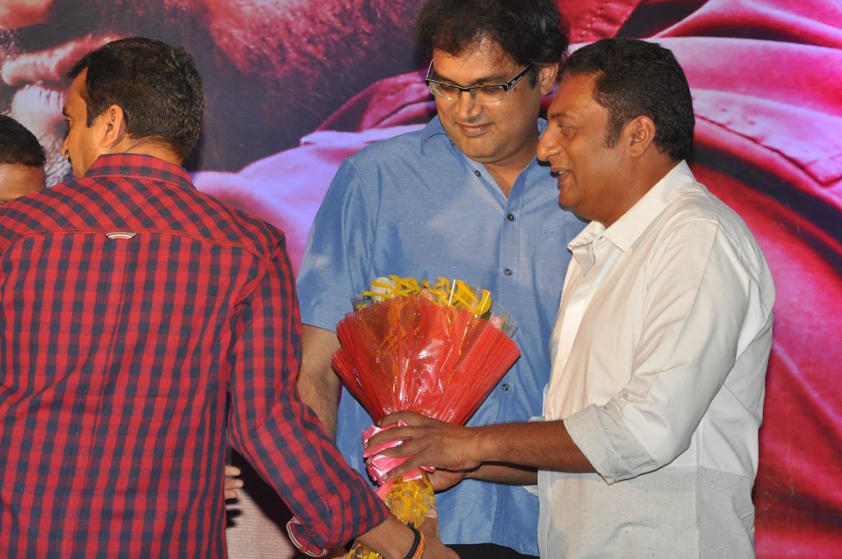 Temper Movie Success Meet