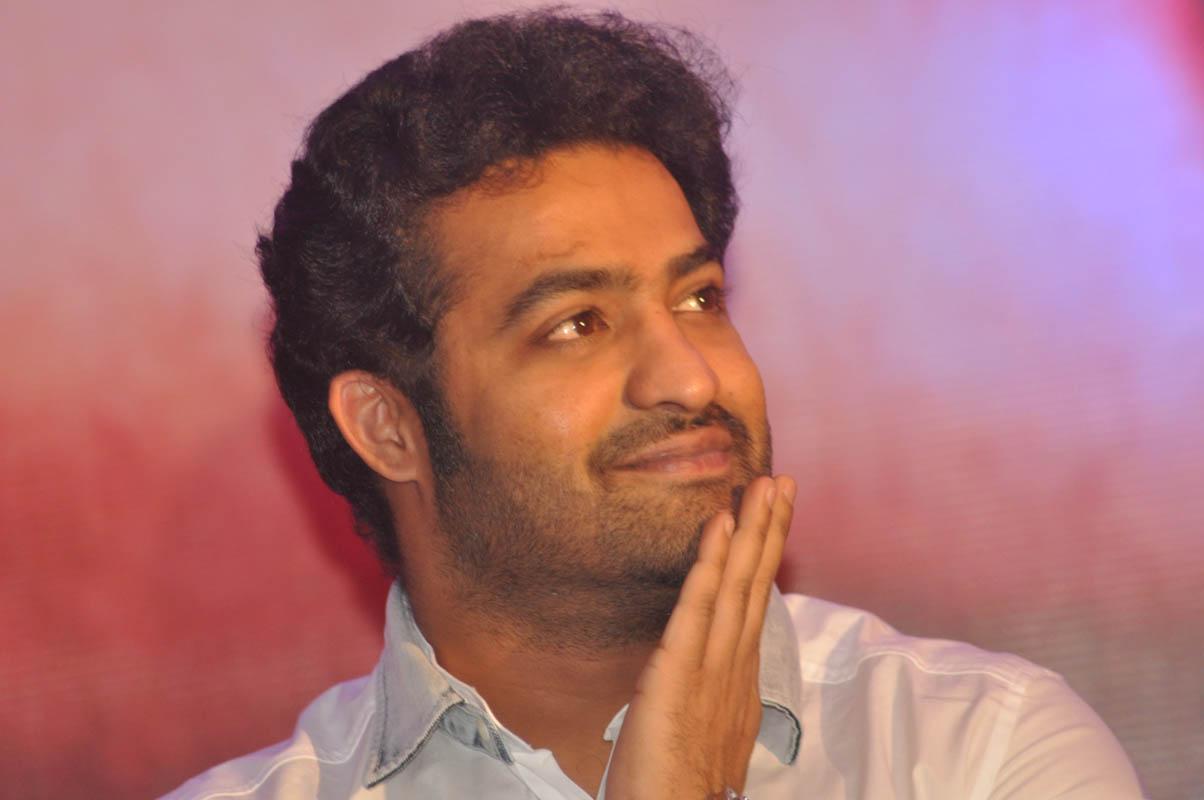 Temper Movie Success Meet