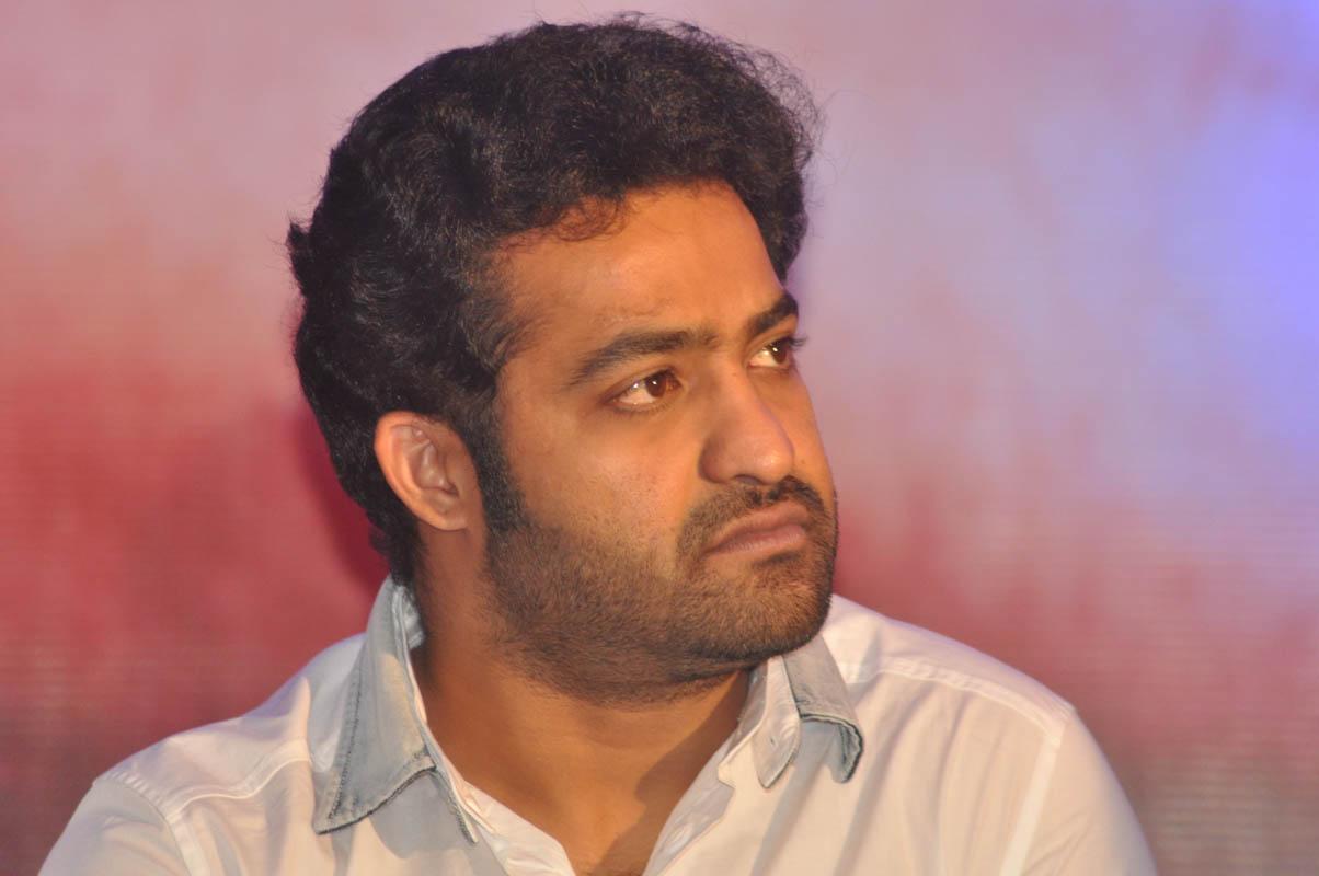 Temper Movie Success Meet