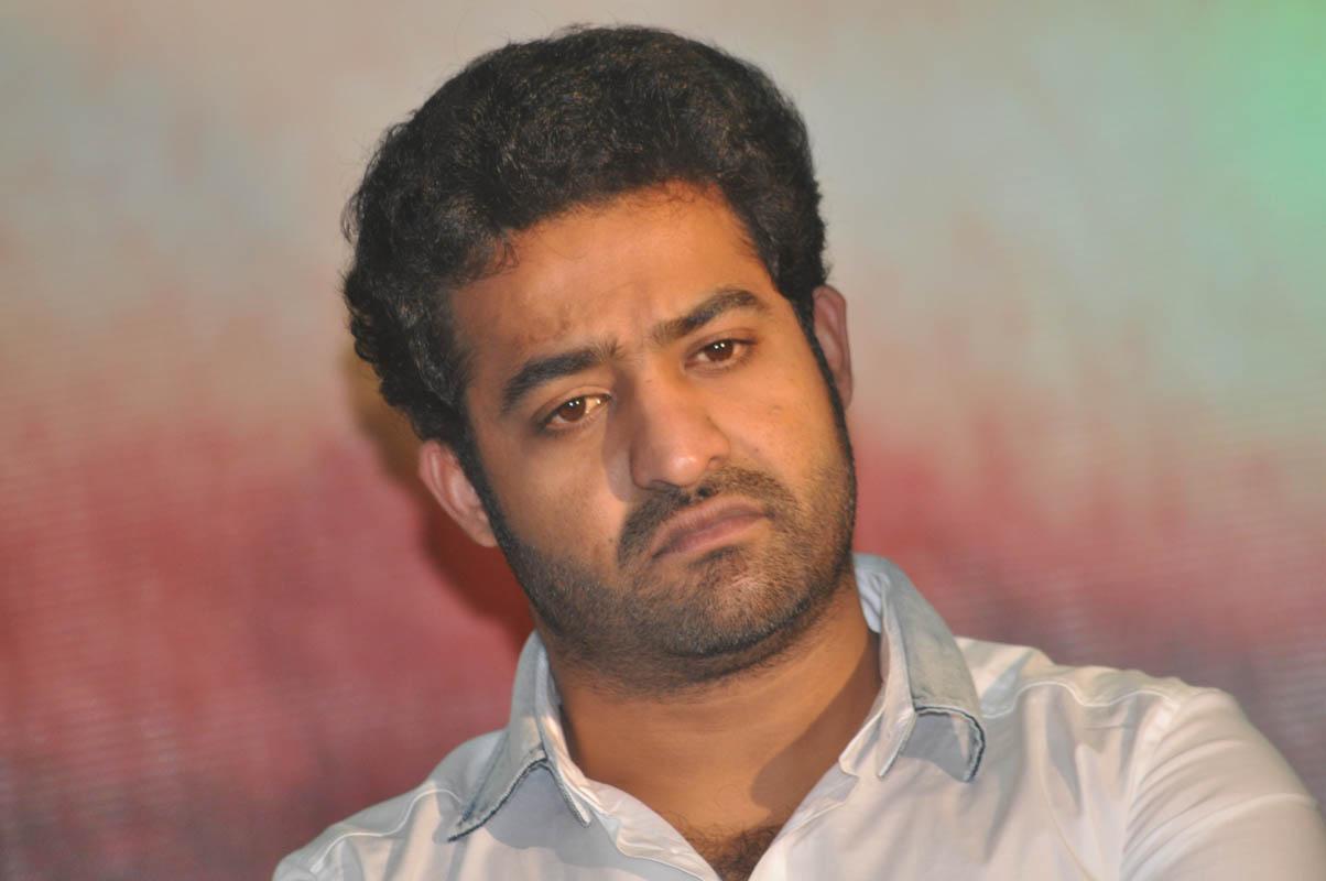 Temper Movie Success Meet