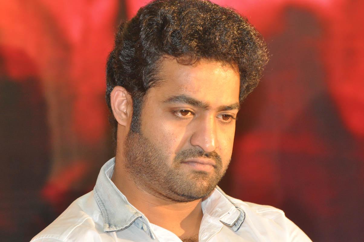 Temper Movie Success Meet