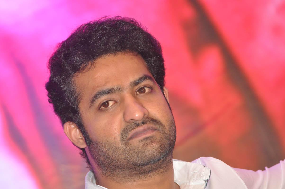 Temper Movie Success Meet