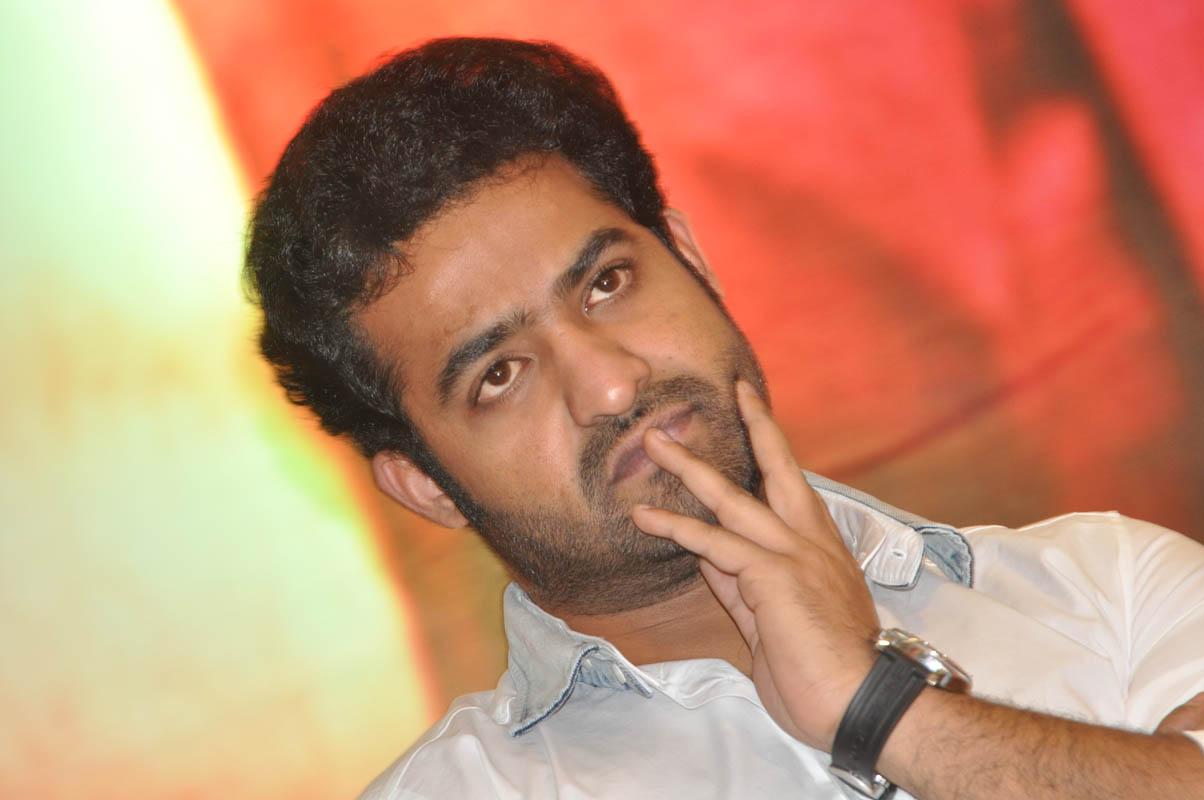 Temper Movie Success Meet