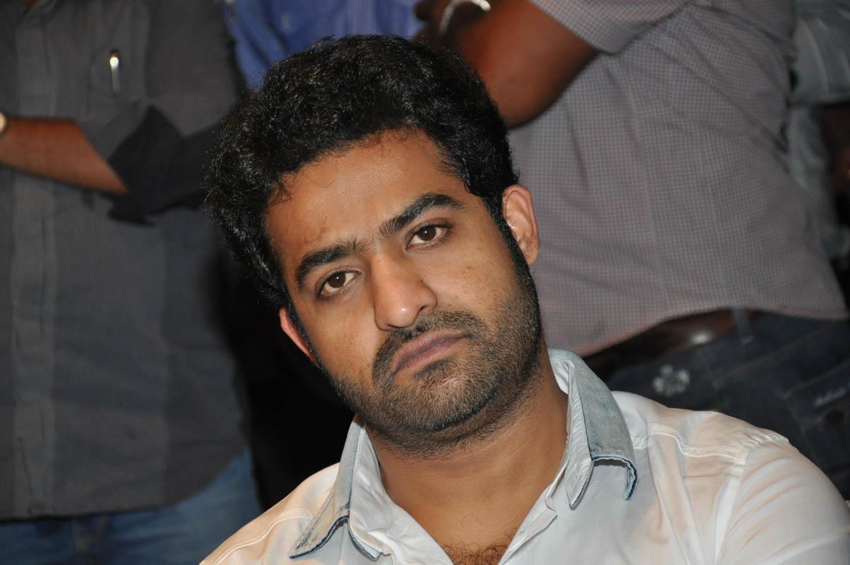 Temper Movie Success Meet