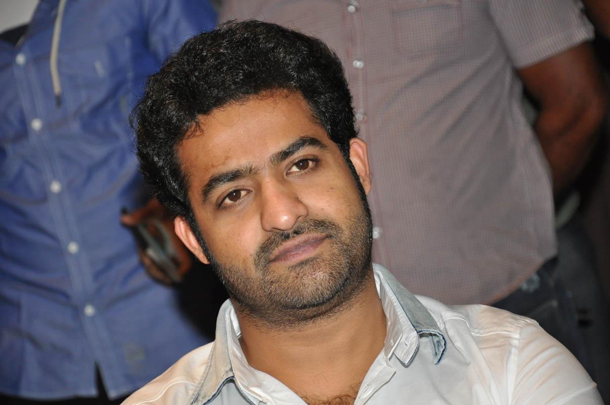 Temper Movie Success Meet