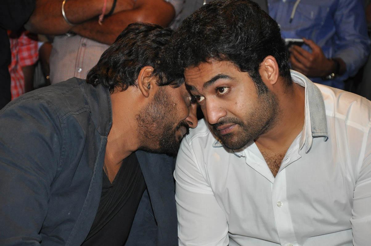 Temper Movie Success Meet