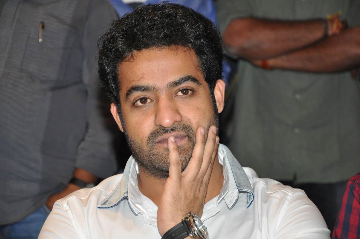 Temper Movie Success Meet