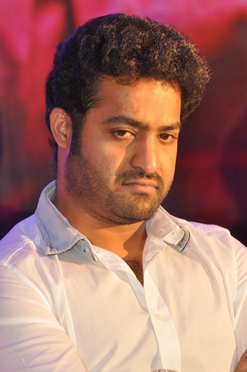 Temper Movie Success Meet