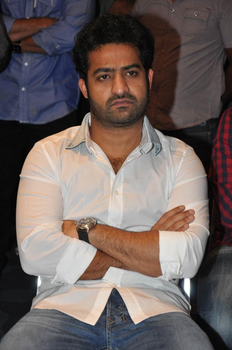 Temper Movie Success Meet