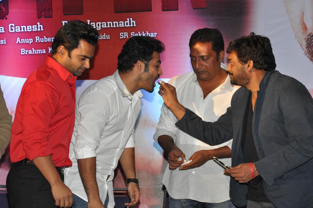 Temper Movie Success Meet