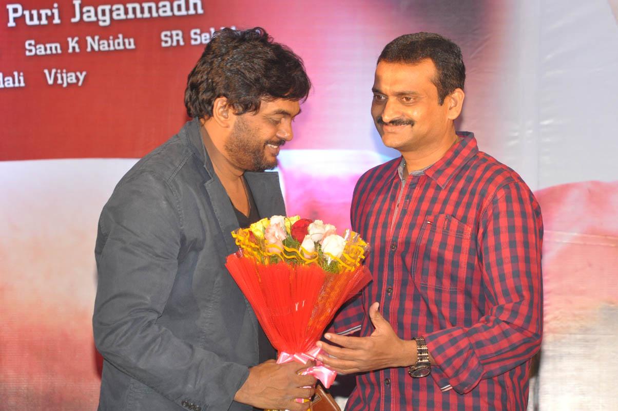 Temper Movie Success Meet