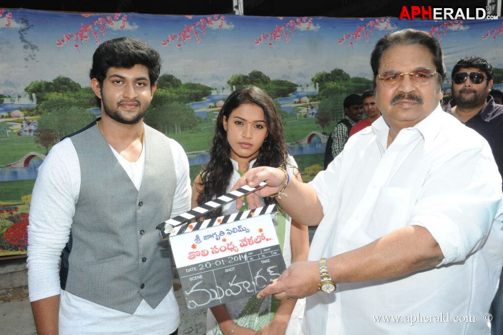 Toli Sandhya Velalo Movie Opening