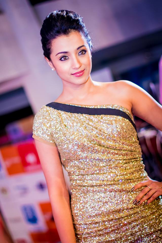 Tollywood Celebs at SIIMA Awards 2014