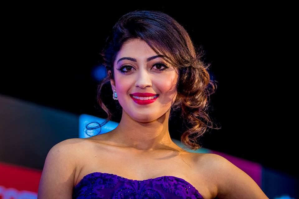 Tollywood Celebs at SIIMA Awards 2014