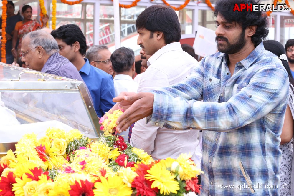 Tollywood Celebs visited ANR