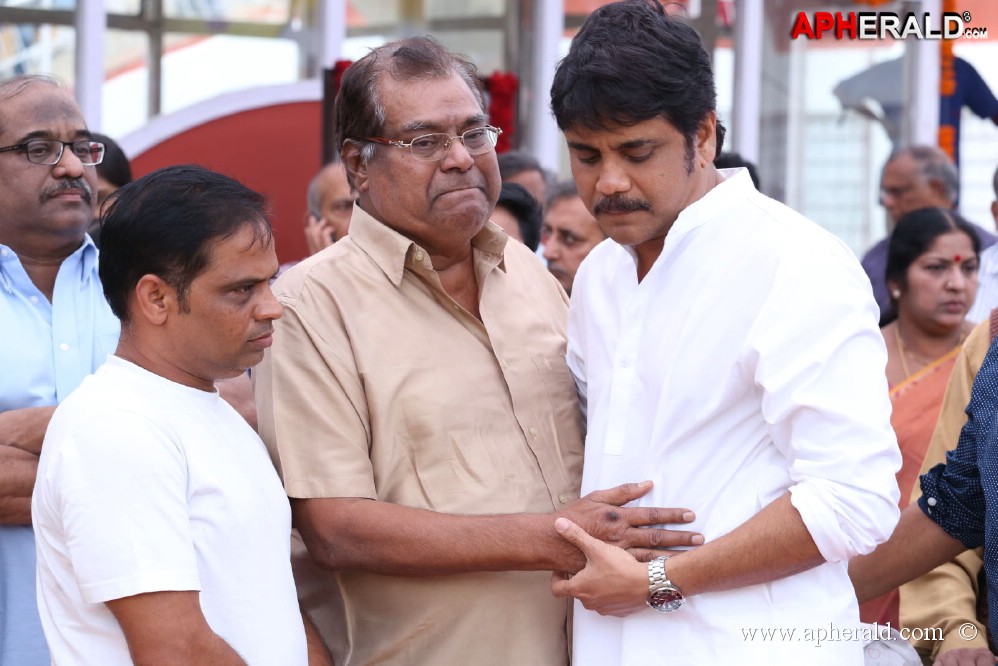 Tollywood Celebs visited ANR