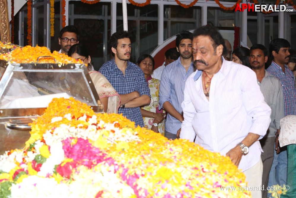 Tollywood Celebs visited ANR