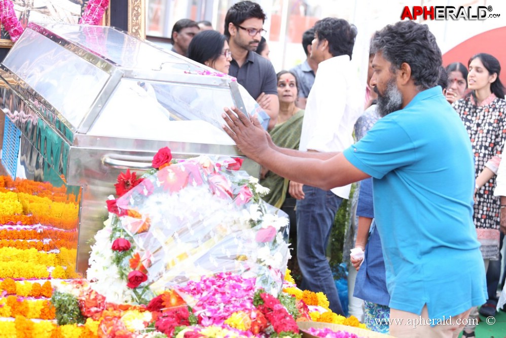 Tollywood Celebs visited ANR