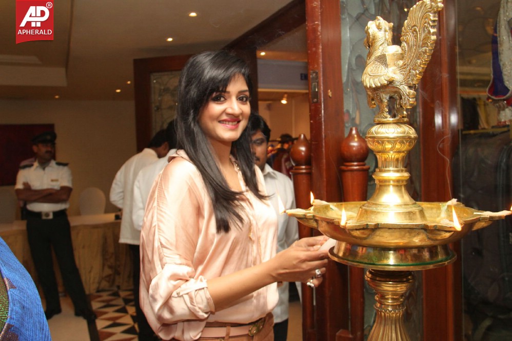 Vimala Raman Inaugurates Trendz Life Style Expo 2014