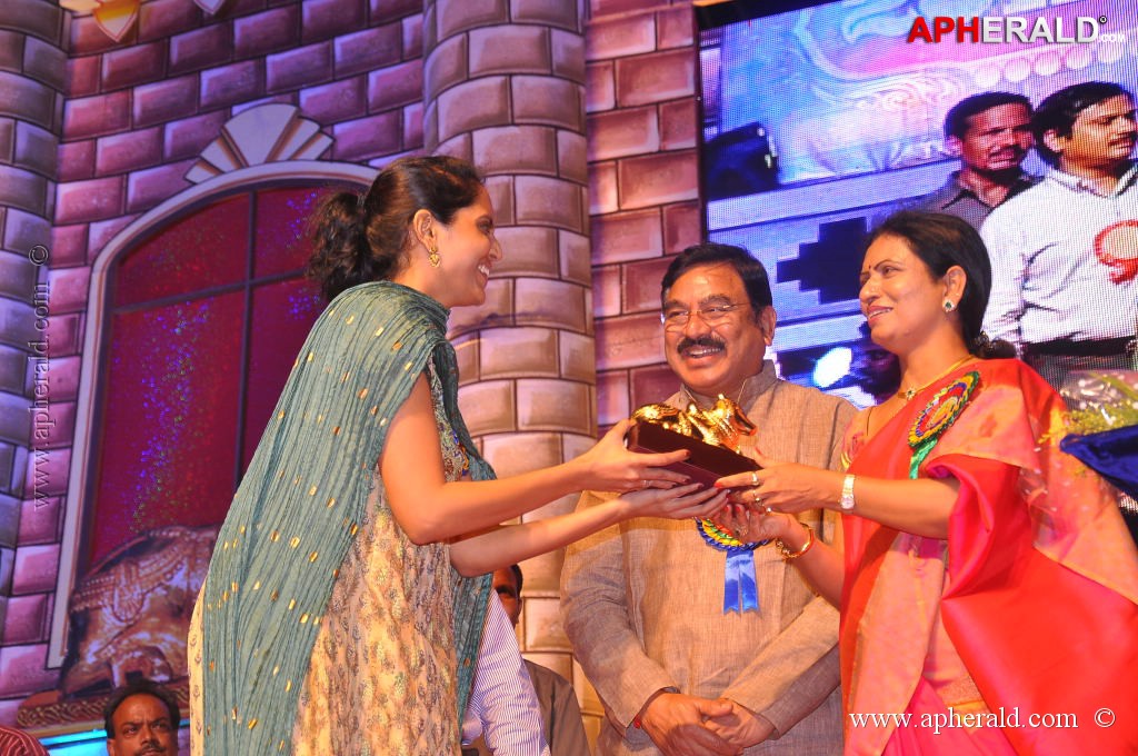 TV Nandi Awards 2011 Photos