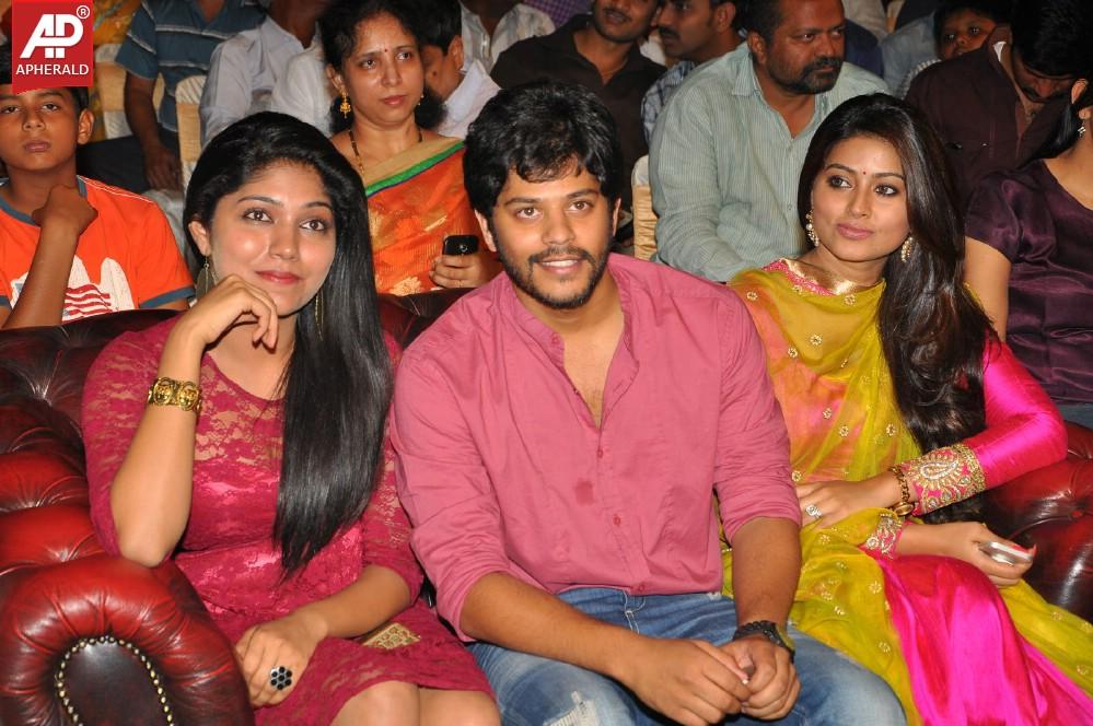 Ulavacharu Biryani Audio Launch