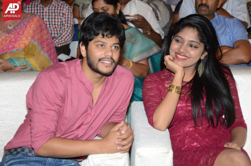 Ulavacharu Biryani Audio Launch