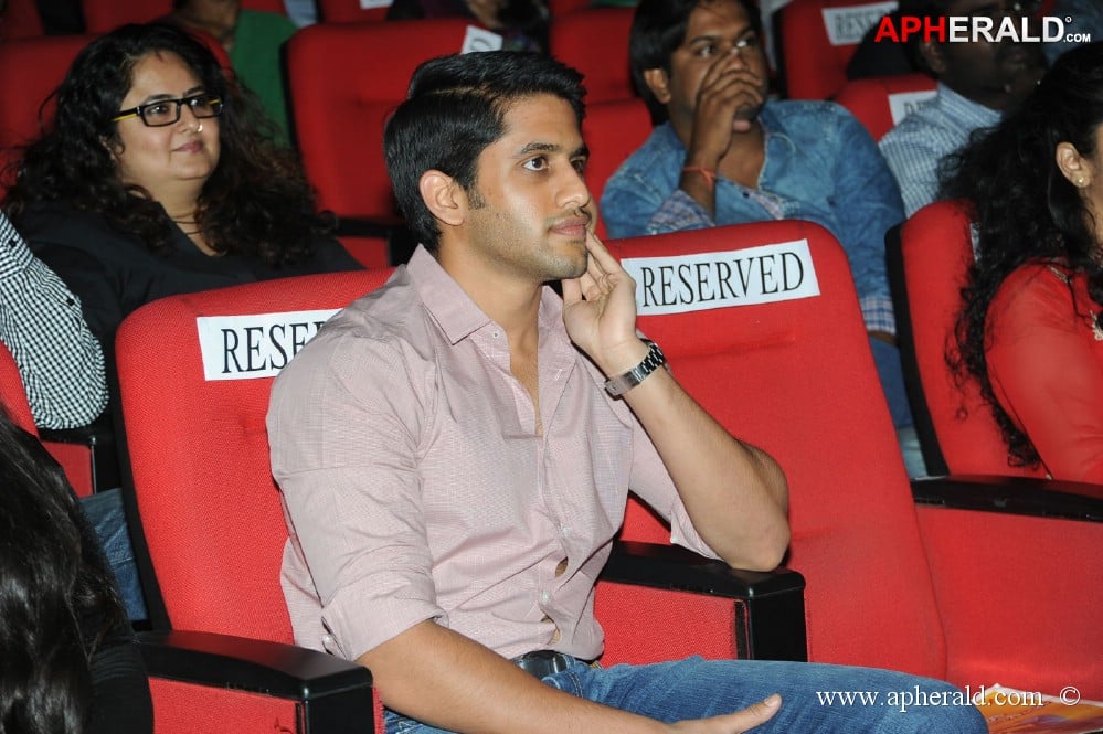 Uyyala Jampala Movie Audio Launch 1