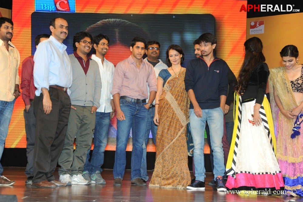 Uyyala Jampala Movie Audio Launch 1