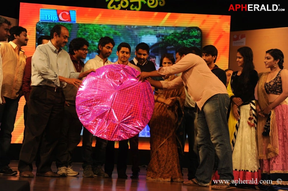 Uyyala Jampala Movie Audio Launch 1