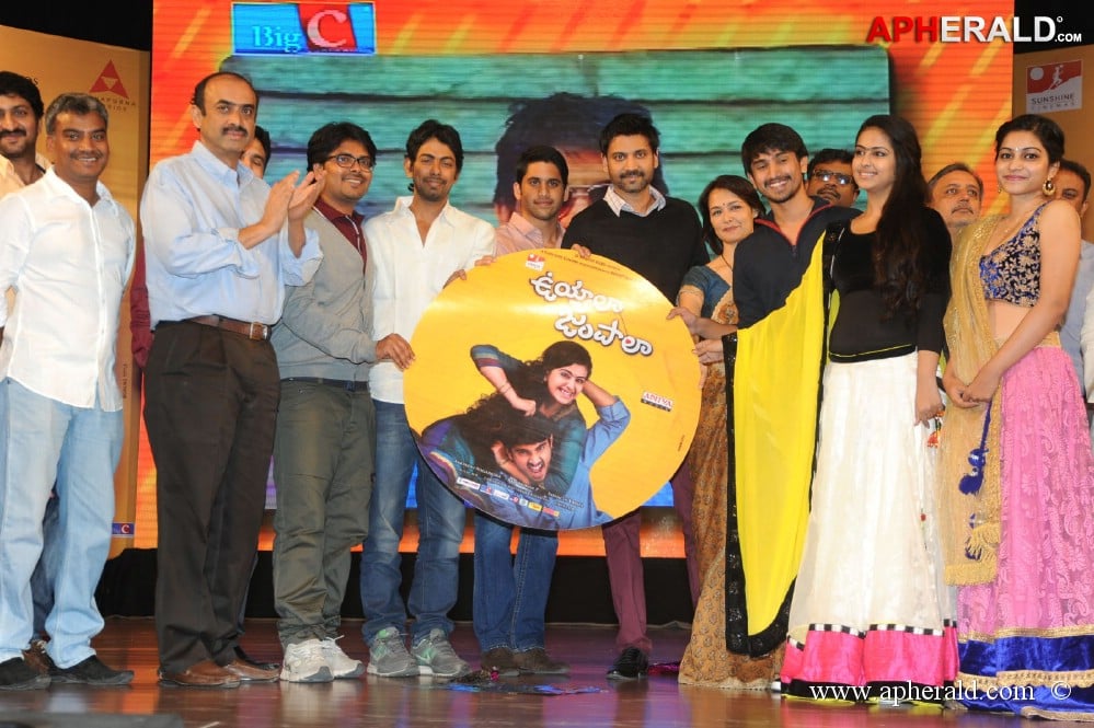 Uyyala Jampala Movie Audio Launch 1