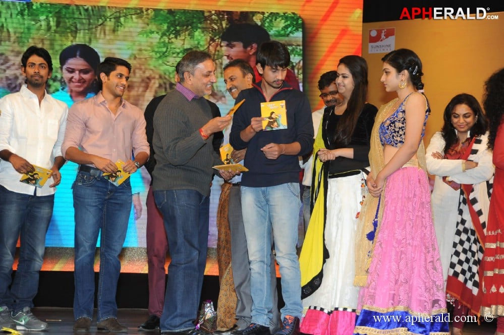 Uyyala Jampala Movie Audio Launch 1