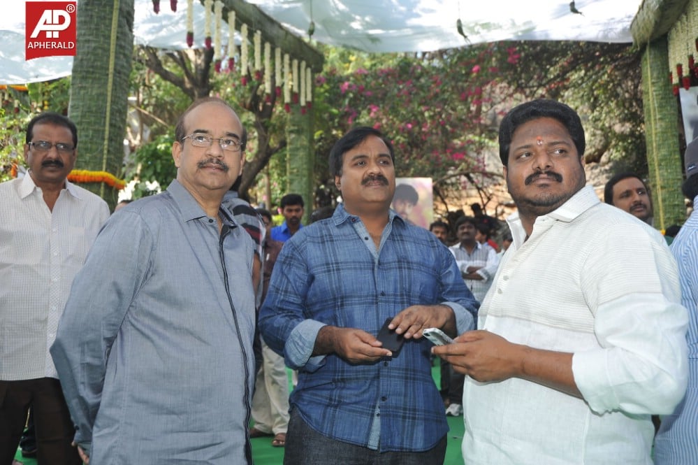 Varun Tej Movie Opening