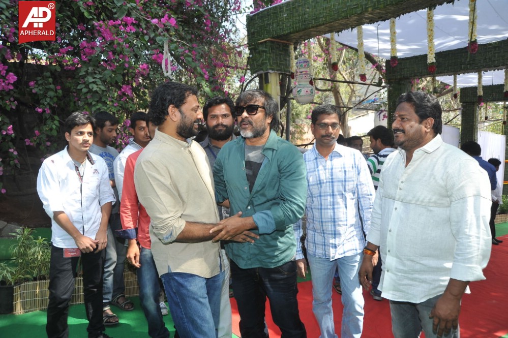 Varun Tej Movie Opening