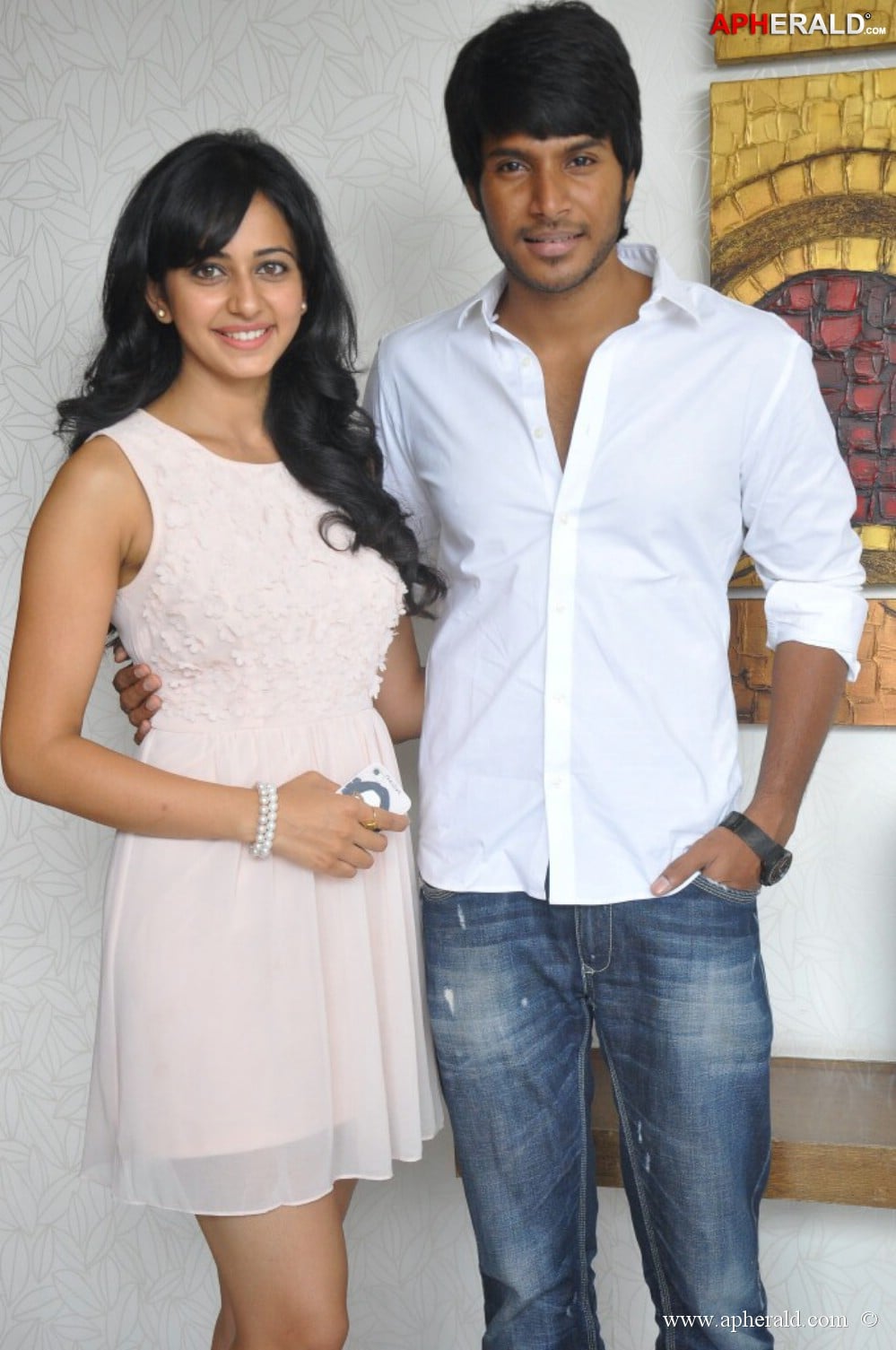 Venkatadri Express Movie Success Meet